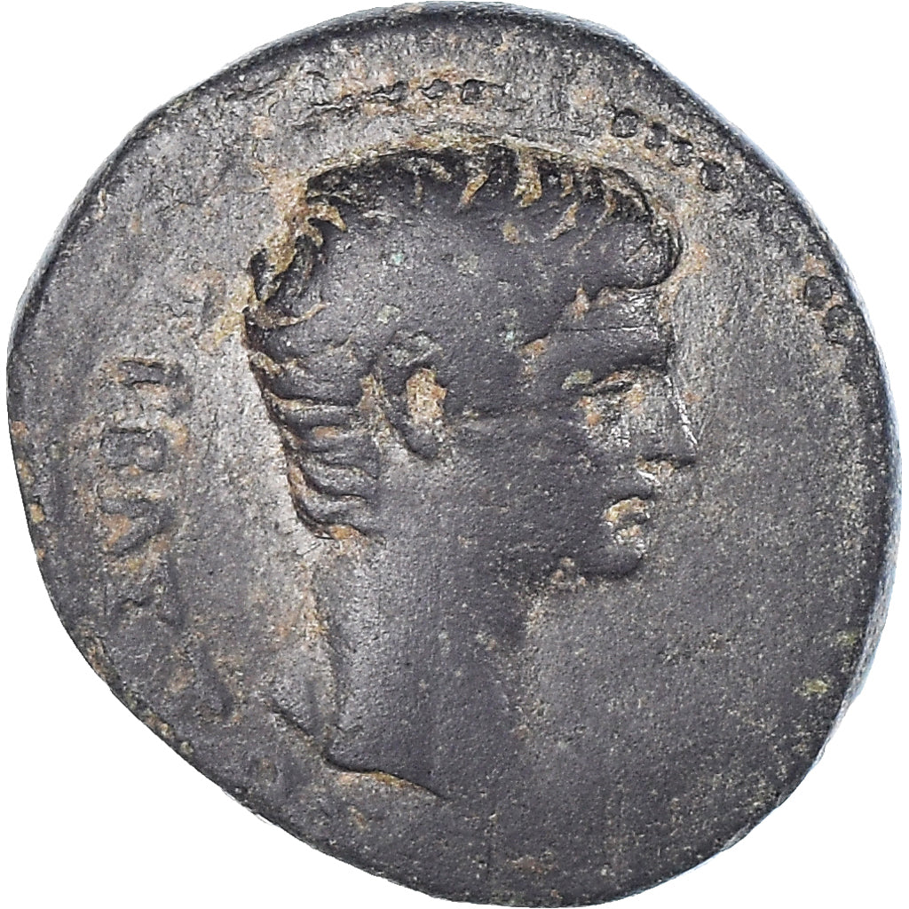 Mince,
Frygie,
Augustus