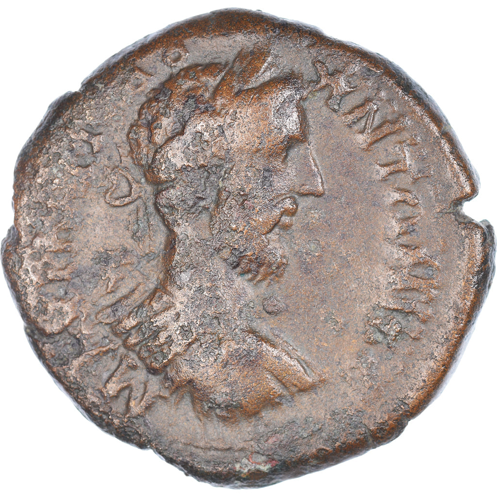Mince,
Pontos,
Commodus