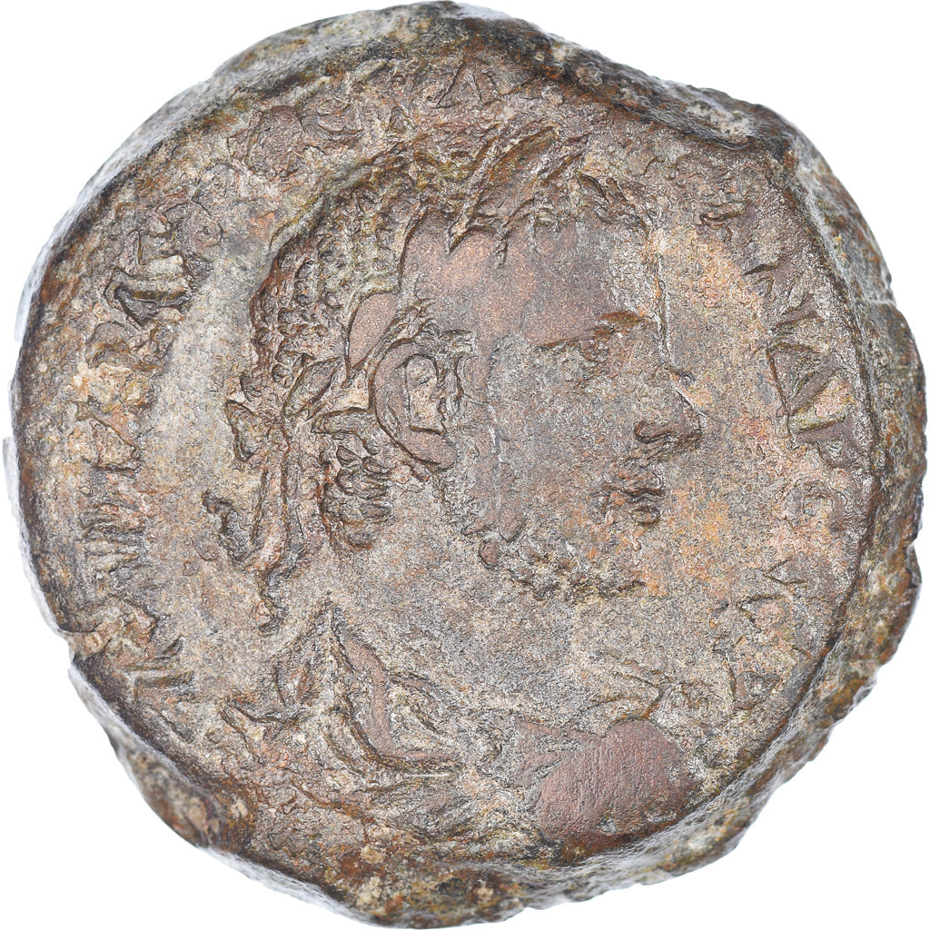 Mince,
Egypt,
Severus Alexander