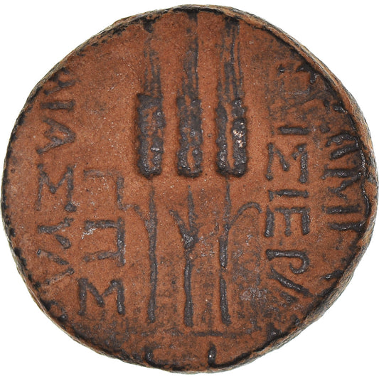 Mince,
Seleucis a Pieria,
Bronz