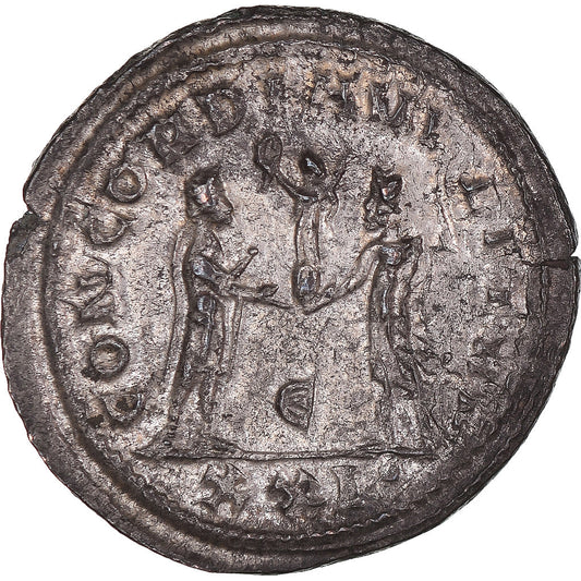 Mince,
Maximien Hercule,
Antoninianus