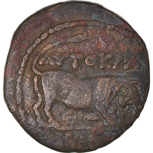 Mince,
Egypt,
Claudius