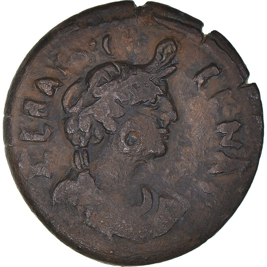 Mince,
Egypt,
Vespasian