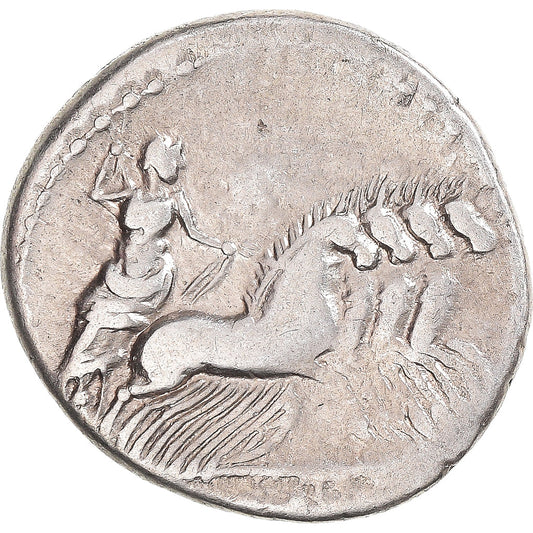 Mince,
gargonie,
denár