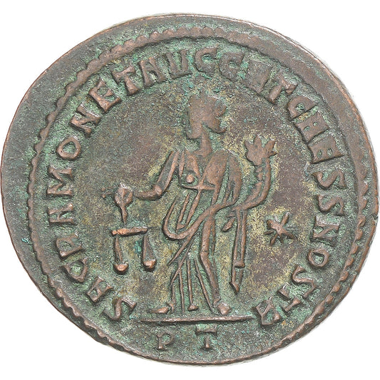 Mince,
Maximianus,
Æ