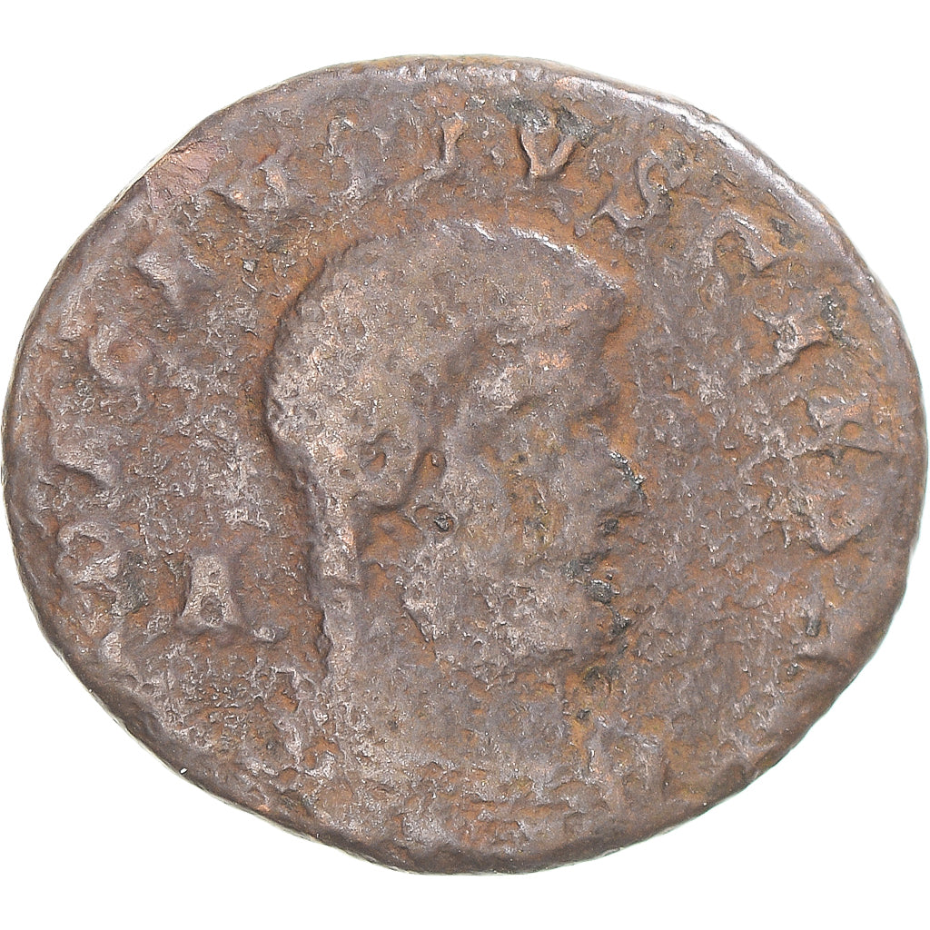 Mince,
Magnentius,
Follis