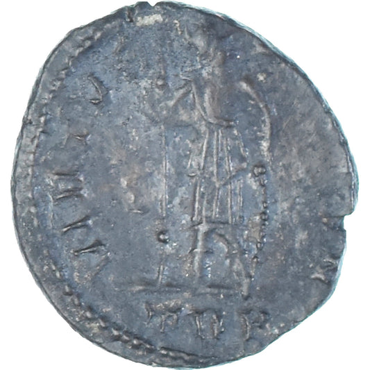 Mince,
Constans,
Follis