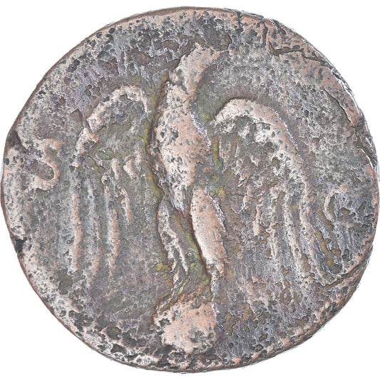 Mince,
Vespasianus,
Jak