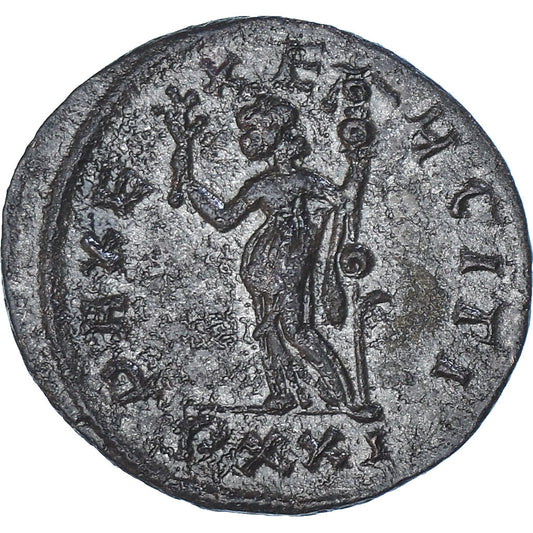 Mince,
Carus,
Aurelianus