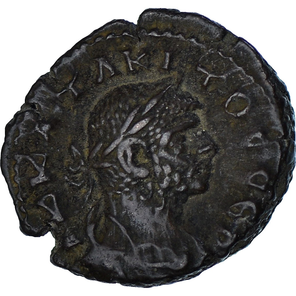 Mince,
Egypt,
Tacitus