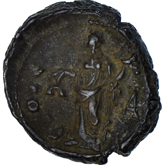 Mince,
Egypt,
Tacitus