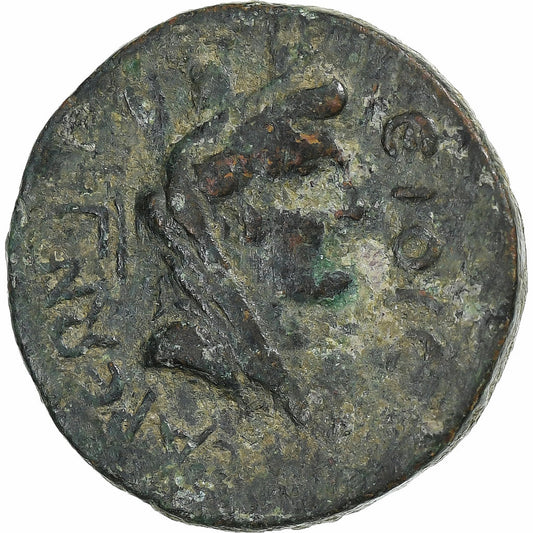 kilicie,
Claudius,
Æ Jednotka