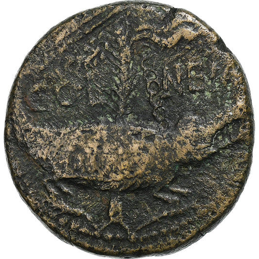 Augustus,
jako,
10-14