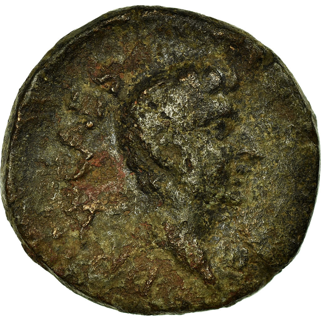 Mince,
Drusus,
Bronz Æ