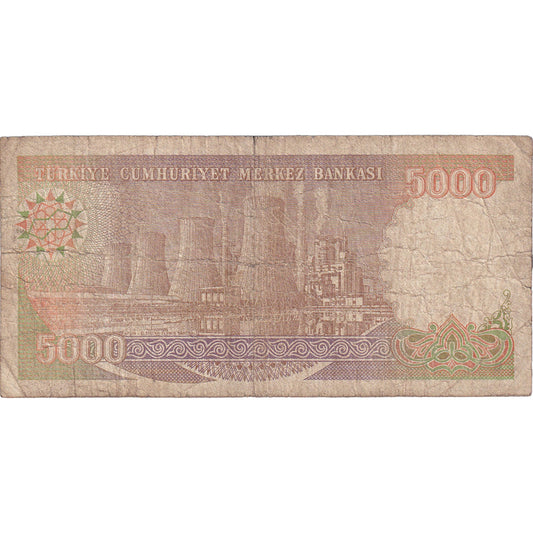 Bankovka,
Turecko,
5000 lir