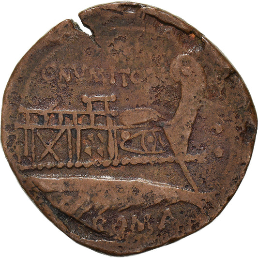 Mince,
Caius Numitorius,
Kvadrany