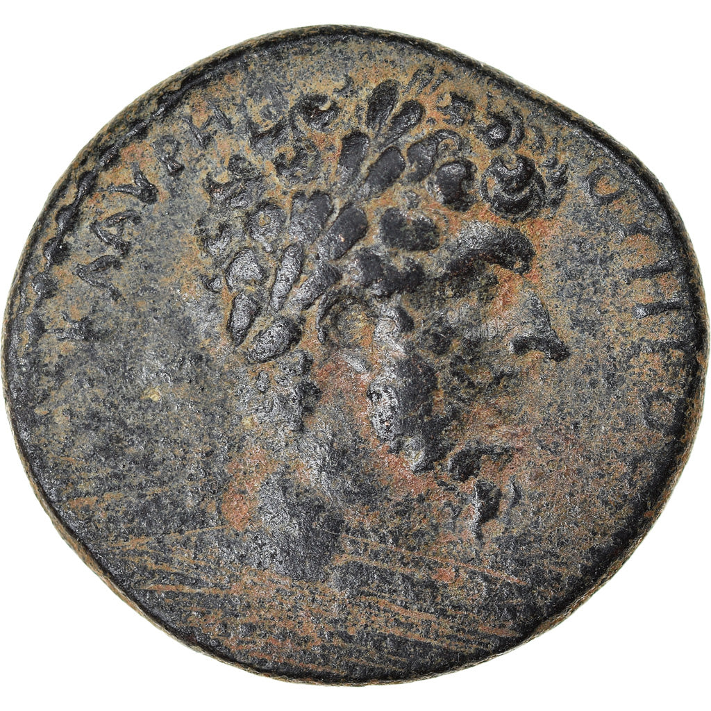 Mince,
cyrrhestica,
Cyrrhus