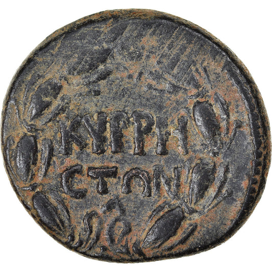 Mince,
cyrrhestica,
Cyrrhus