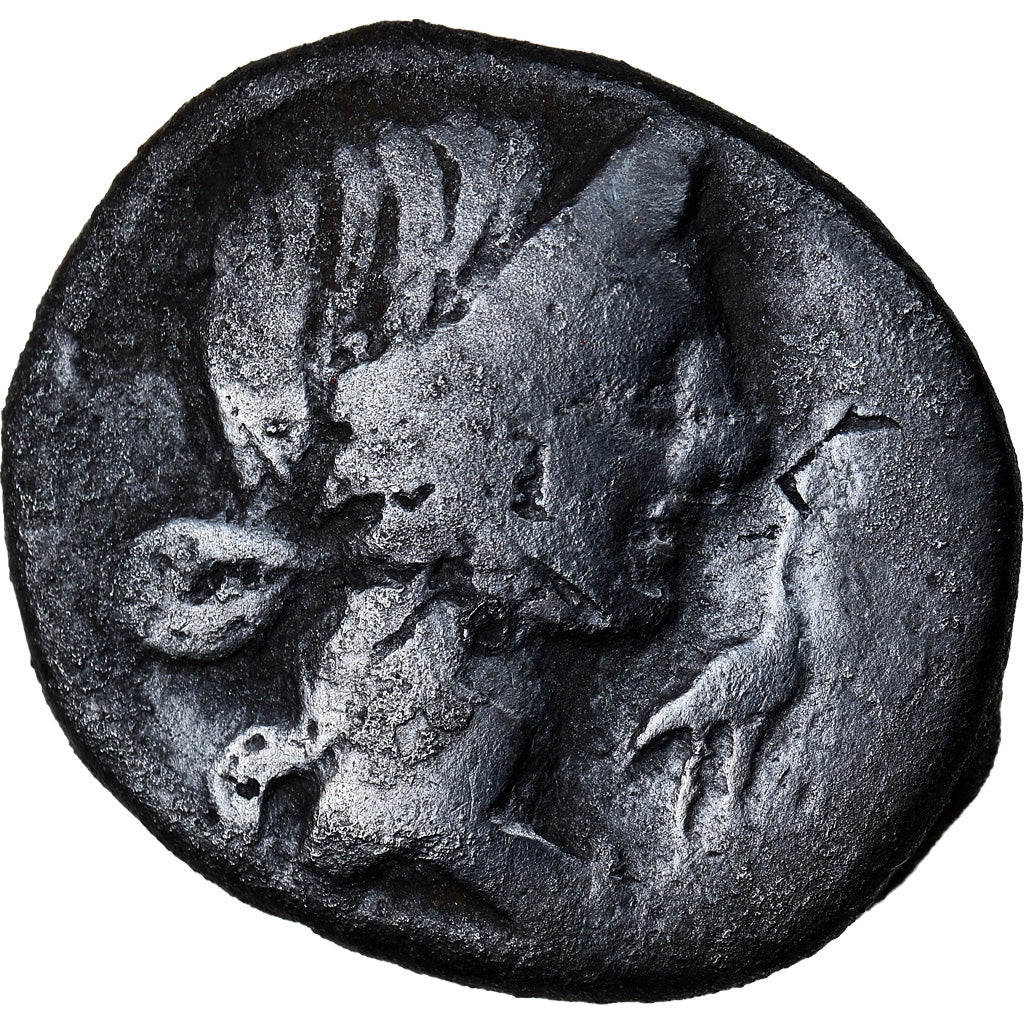 Mince,
Caecilia,
denár