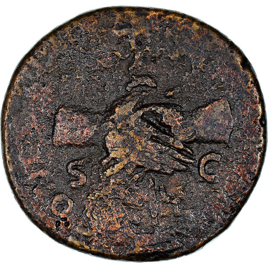 Mince,
nervy,
Dupondius