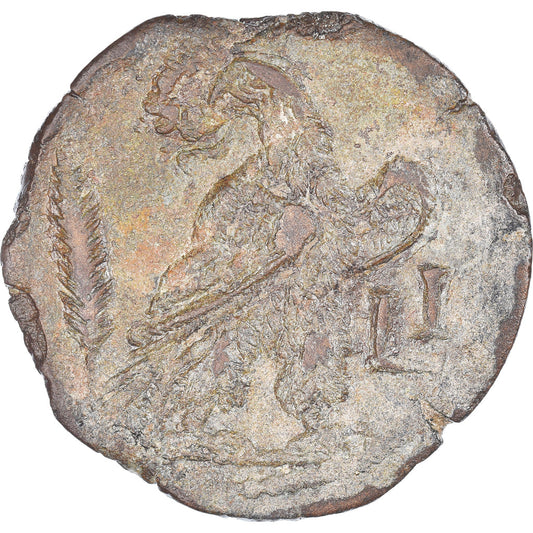 Mince, 
  
  Egypt, 
  
  Severus Alexander
