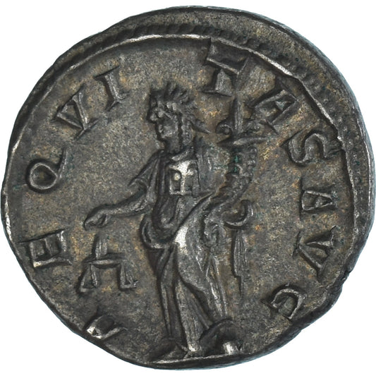 Mince, 
  
  Severus Alexander, 
  
  denár
