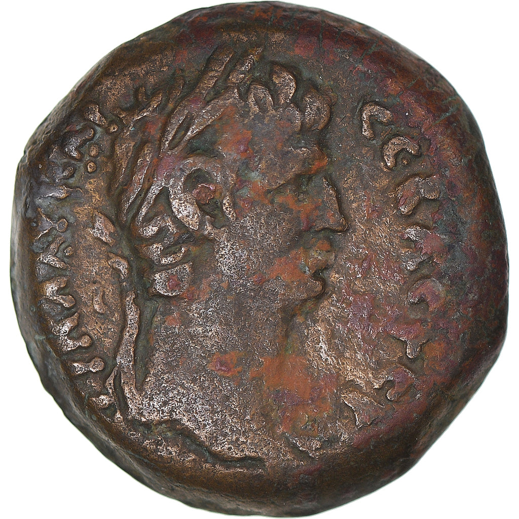 Mince, 
  
  Egypt, 
  
  Claudius
