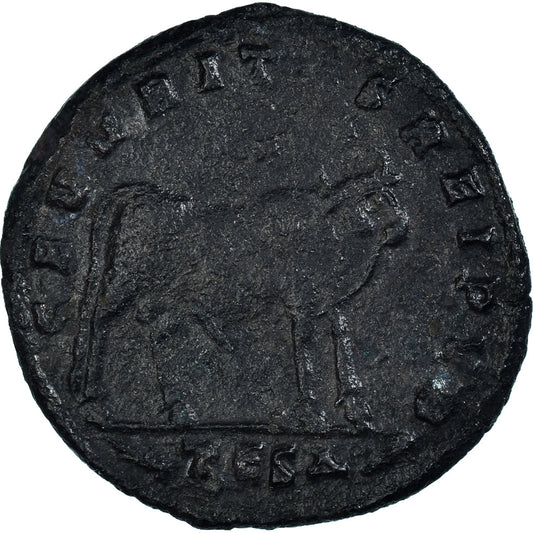 Mince, 
  
  Julian II, 
  
  Maiorina
