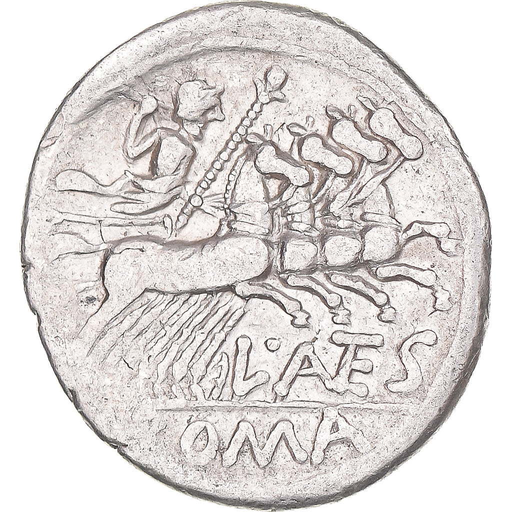 Mince, 
  
  Antestia, 
  
  denár
