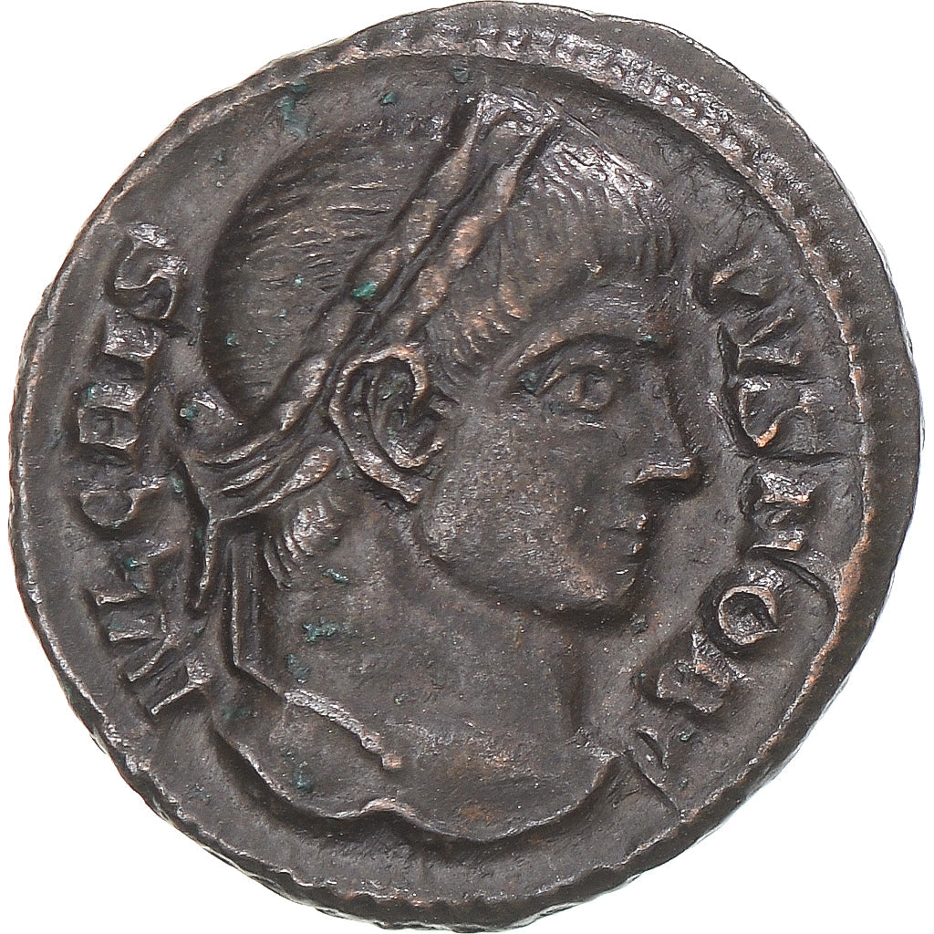 Mince, 
  
  crispus, 
  
  Zlomek Æ