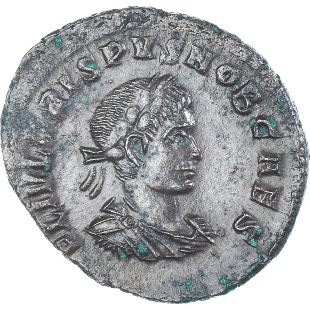 Mince, 
  
  crispus, 
  
  Follis