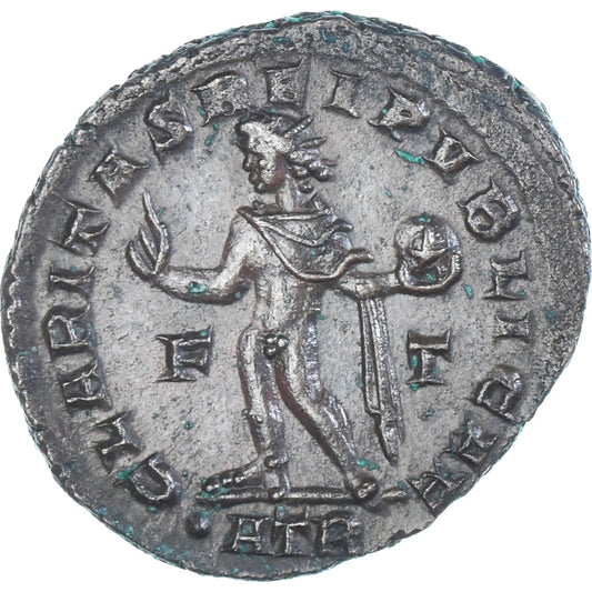 Mince, 
  
  crispus, 
  
  Follis