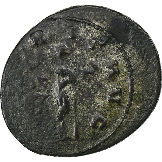 Quintillus, 
  
  Antoninianus, 
  
  270