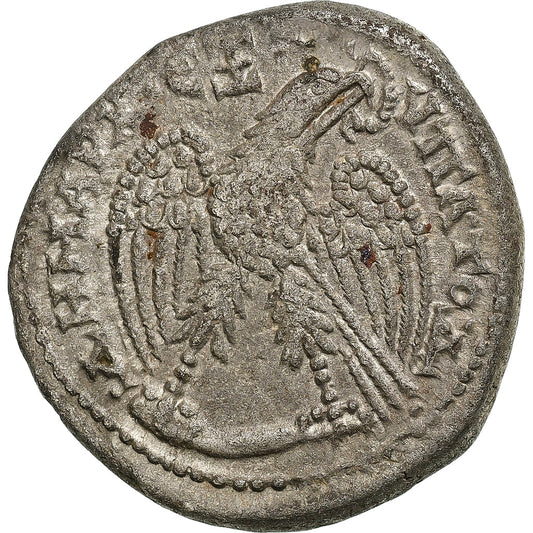Seleucis a Pieria, 
  
  Caracalla, 
  
  Tetradrachm