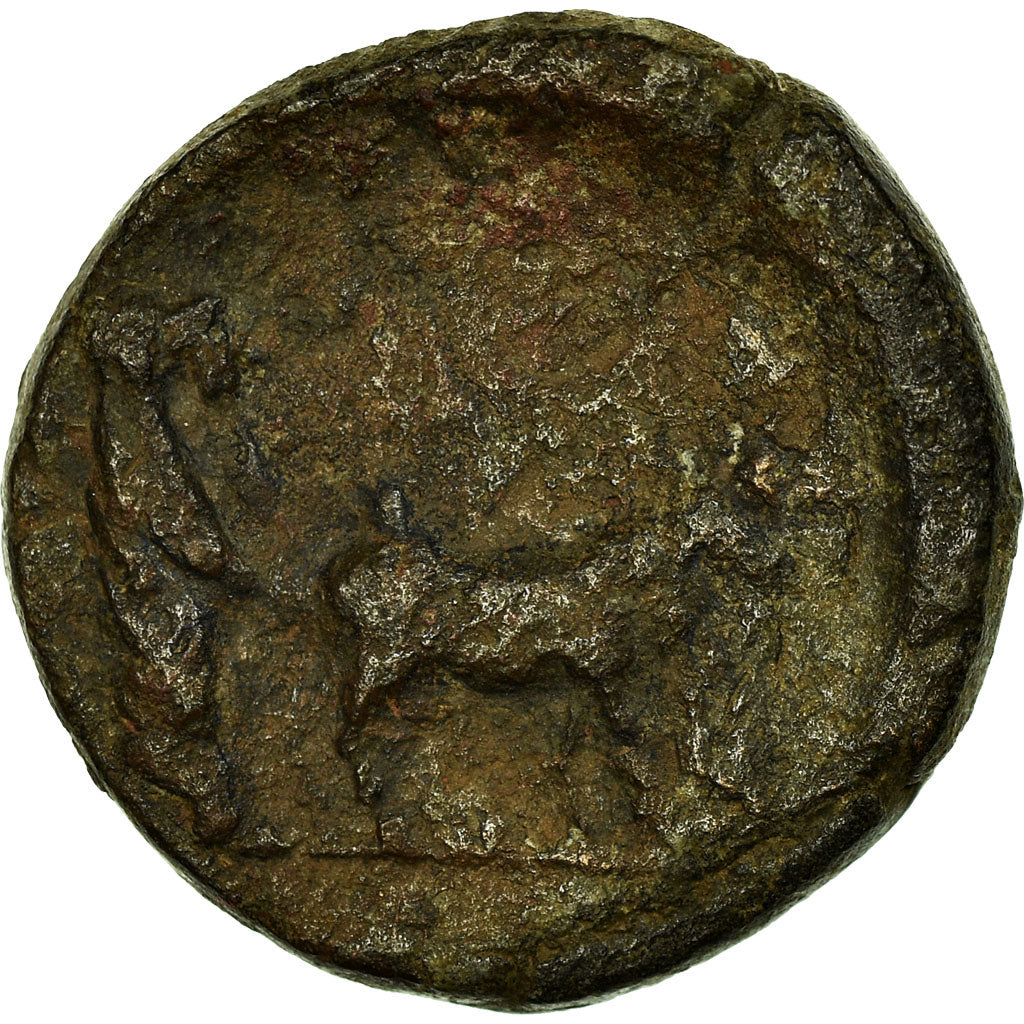 Mince, 
  
  Drusus, 
  
  Bronz Æ