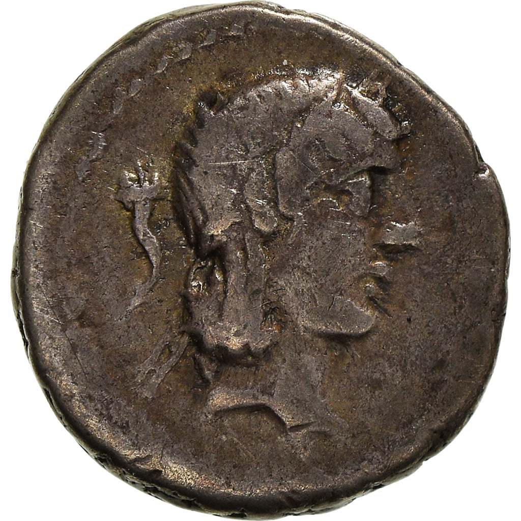 Mince, 
  
  Calpurnia, 
  
  Quinarius