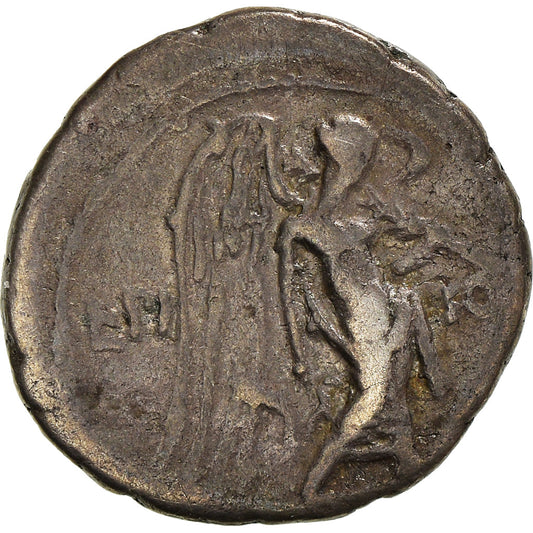 Mince, 
  
  Calpurnia, 
  
  Quinarius