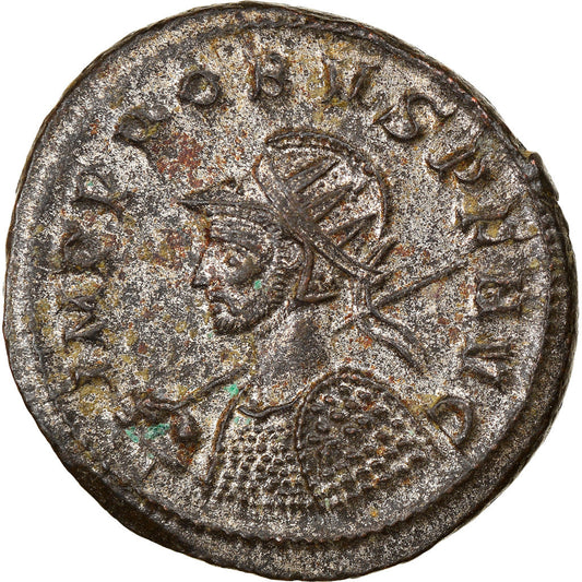 Mince, 
  
  Probus, 
  
  Aurelianus