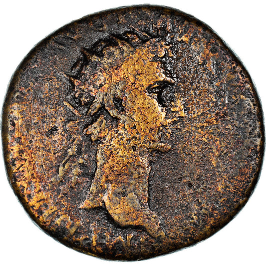 Mince, 
  
  nervy, 
  
  Dupondius