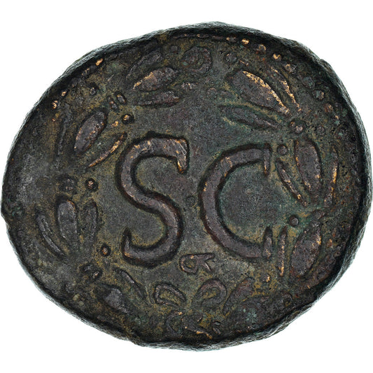 Mince, 
  
  Seleucis a Pieria, 
  
  Nerva