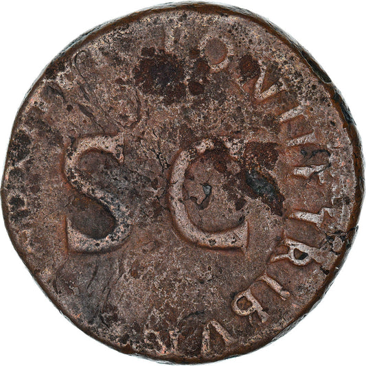 Mince, 
  
  Drusus, 
  
  Jak